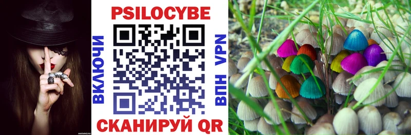 Купить  Агидель  Псилоцибиновые грибы прущие грибы 